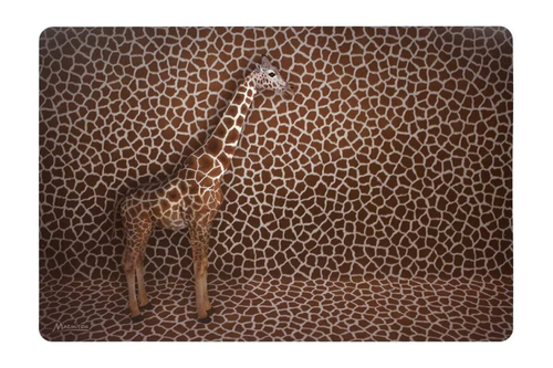 НАБОР САЛФЕТОК СЕРВИРОВОЧНЫХ САФАРИ 42Х28СМ 4ШТ 17375