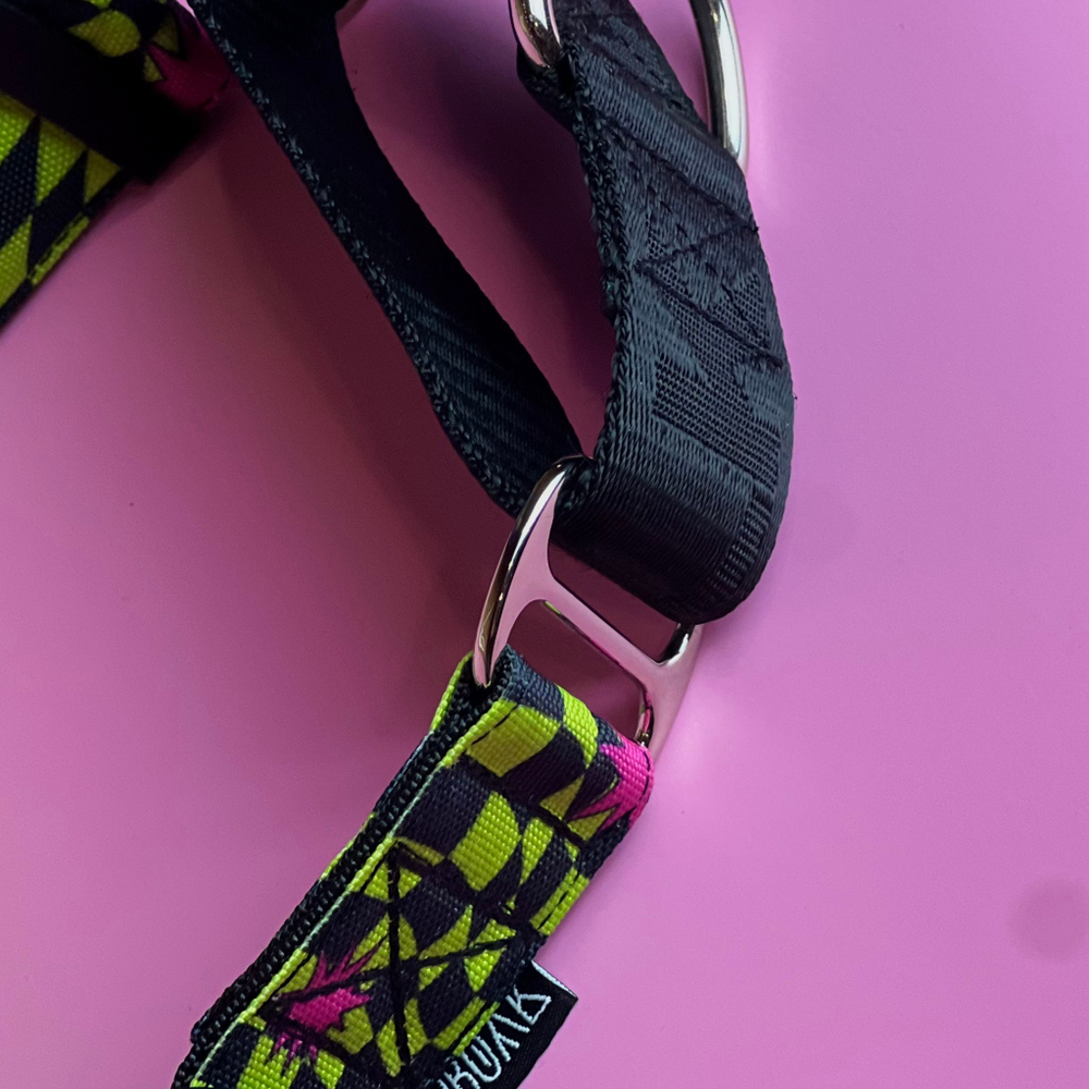 Ошейник Neon Riot, наличие