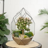 Подарки до 15 000р