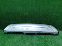 Накладка юбки заднего бампера Lexus RX 4 (19-22)