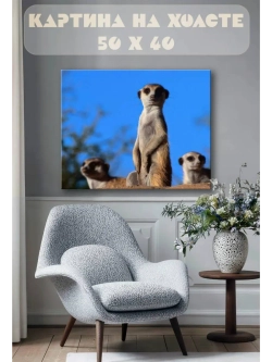 Картина на стену 40 X 50 Сурикат