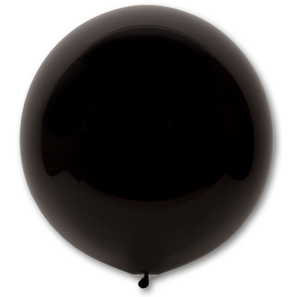 EV 24&quot;/298 Фэшн Jet Black 1 шт