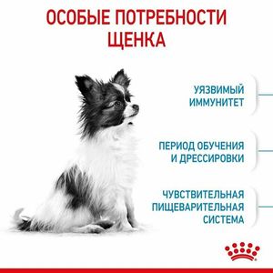 Уценка! Срок до 06.2024/ Корм для щенков миниатюрных пород Royal Canin X-Small Puppy