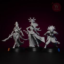 Комплект миниатюр Dark Majesty Escort