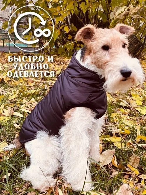 Жилет для собак мелких средних крупных пород