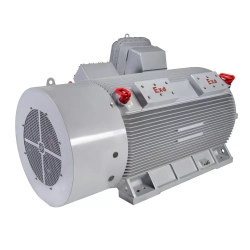 Электродвигатель ESQ M 400-SDN 6,0-315/1500-EP-A IP55 (SG) 315/1500 IM1001