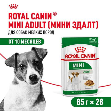 Royal Canin Mini Adult Корм консервированный для взрослых собак мелких размеров от 10 месяцев кусочки в соусе 85г