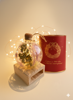 Статусный шар Денежный в wow-упаковке