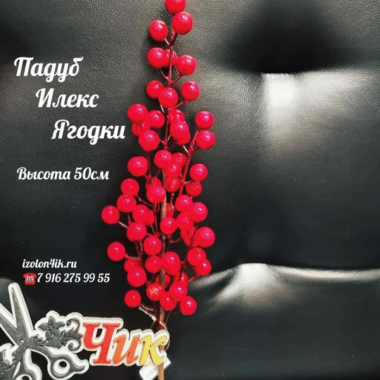 ЯГОДКИ Падуб Илекс