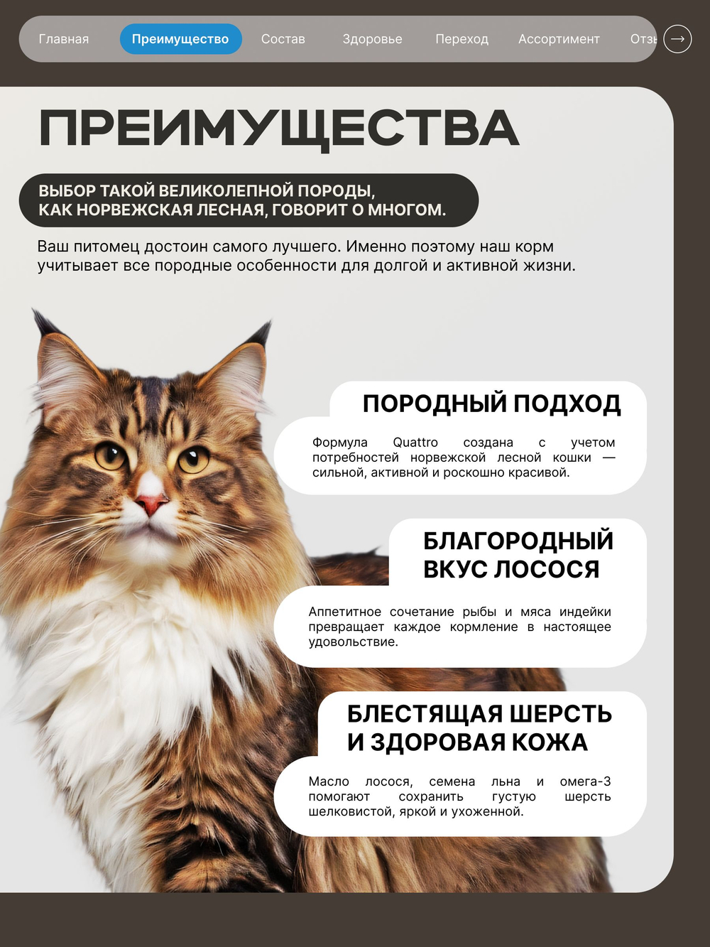 Корм сухой для взрослых кошек породы Норвежская лесная, с лососем, 2 кг, QUATTRO