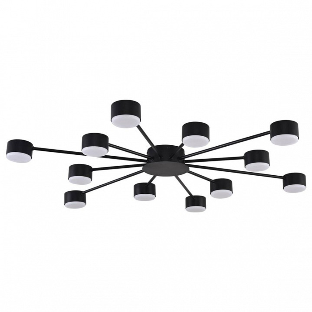 Потолочная люстра Lumion TORINA 8344/12C