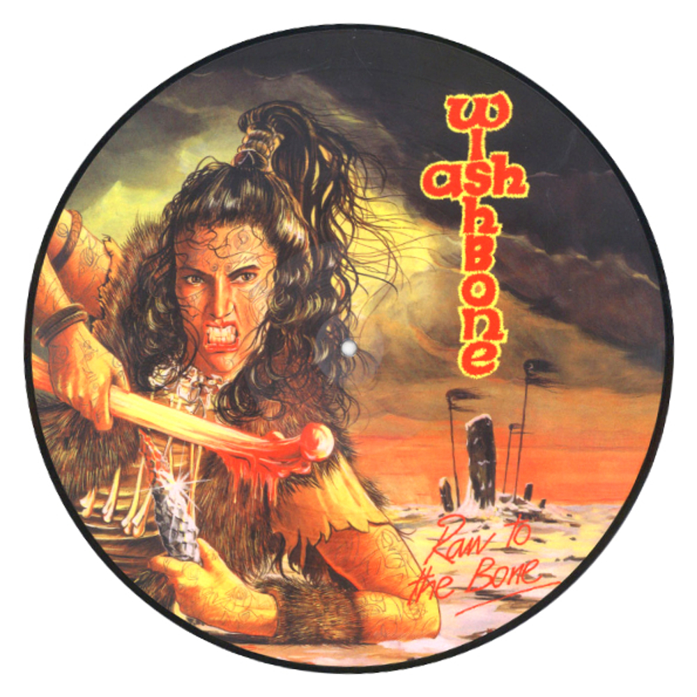 Wishbone Ash / Raw To The Bone (Picture Disc)(LP)