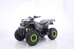 Квадроцикл MOTAX GRIZLIK T 200
