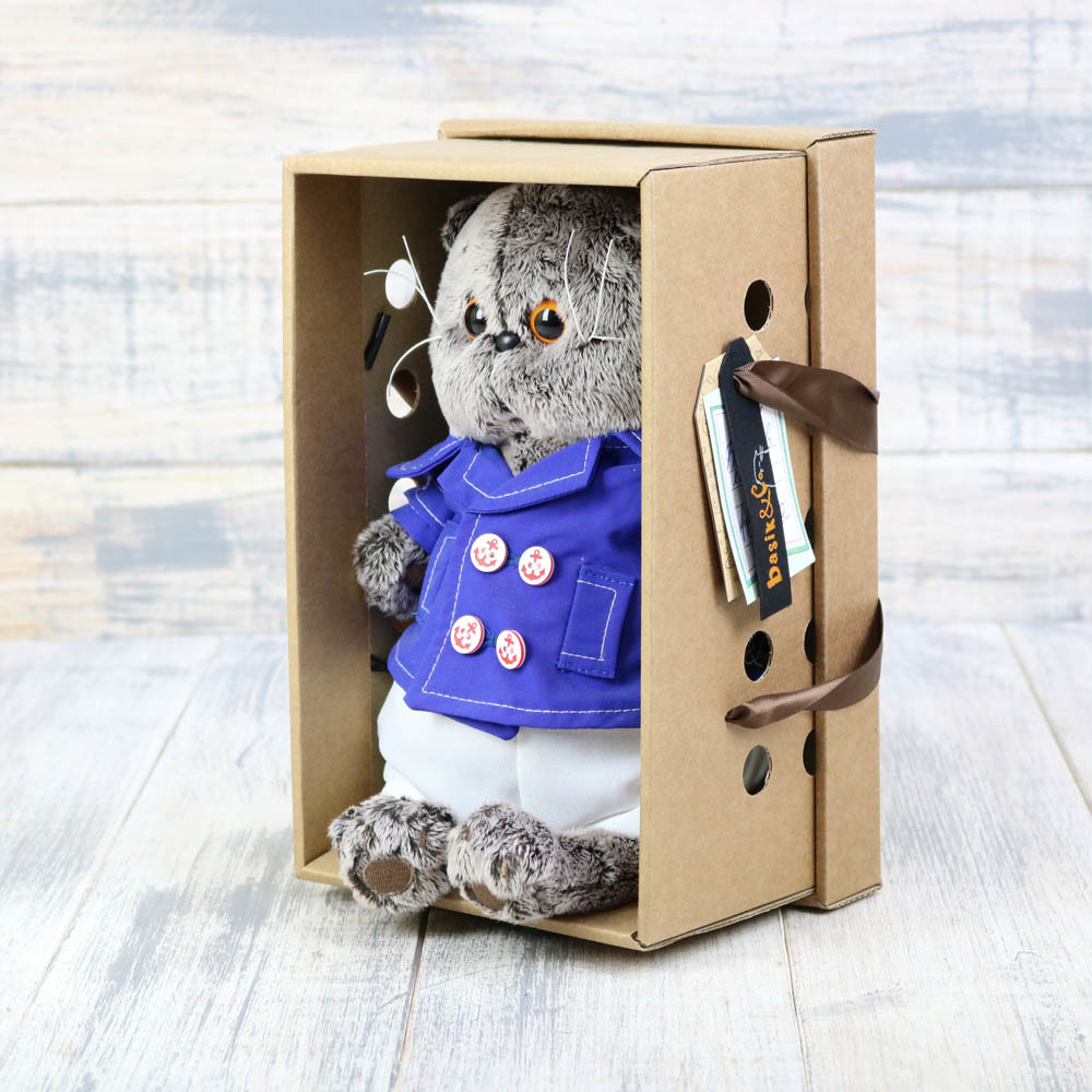 Кот Басик в синем кителе