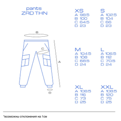 Джоггеры ZRD THN Чёрный