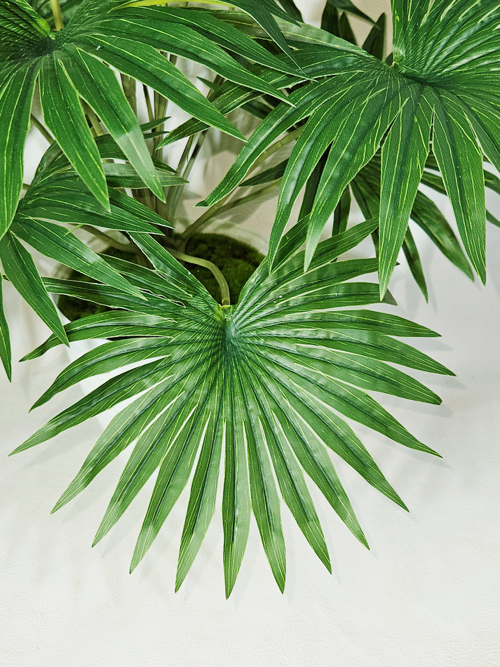 Искусственная Пальма веерная 75см в кашпо