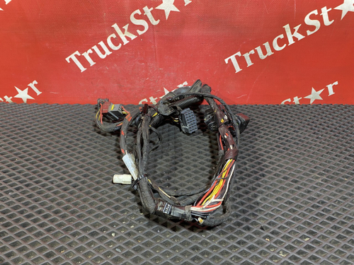 Проводка двери левой 2019г