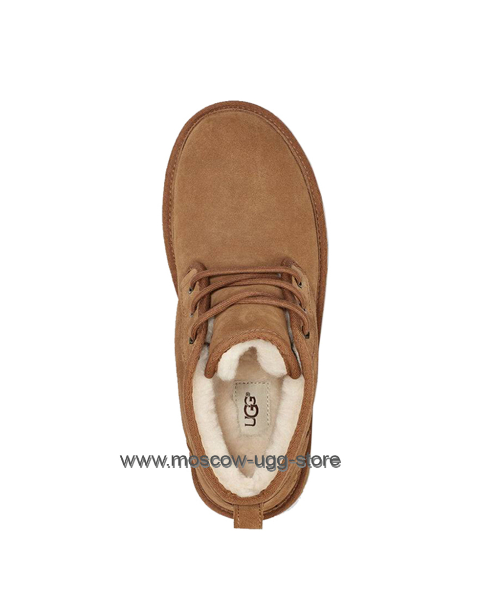 NEUMEL MEN - chestnut