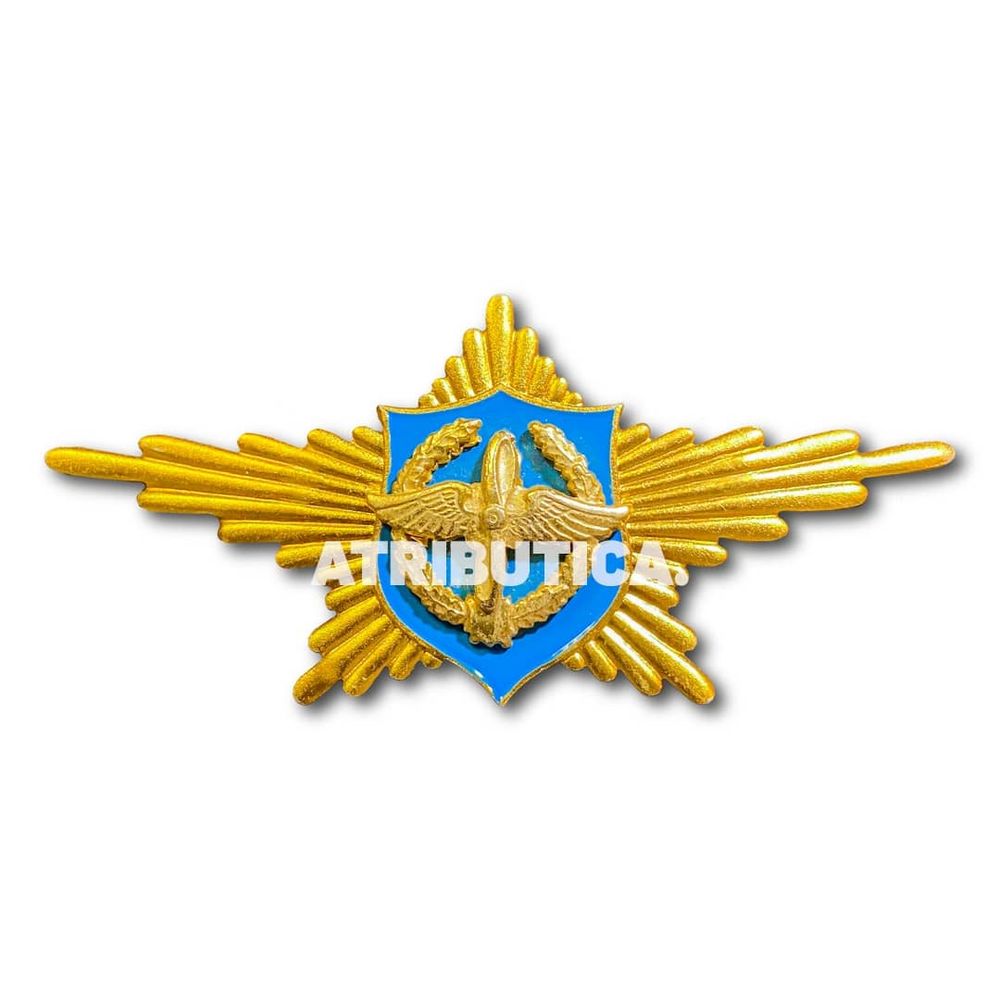 Знак Нагрудный Рота Почетного Караула ВВС | ATRIBUTICASTORE.RU