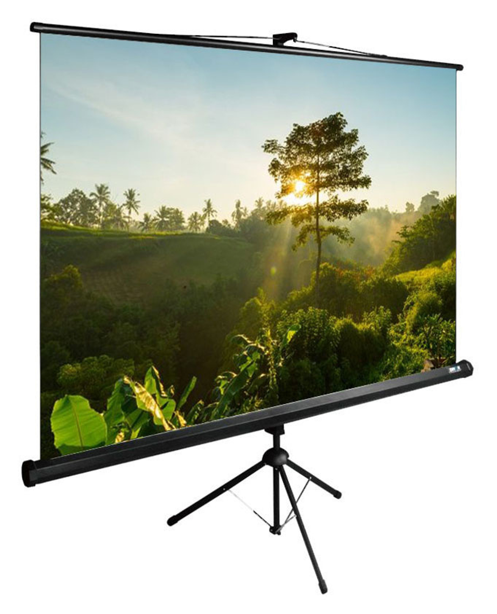 Экран  Cactus CS-PSTE-200X200-BK