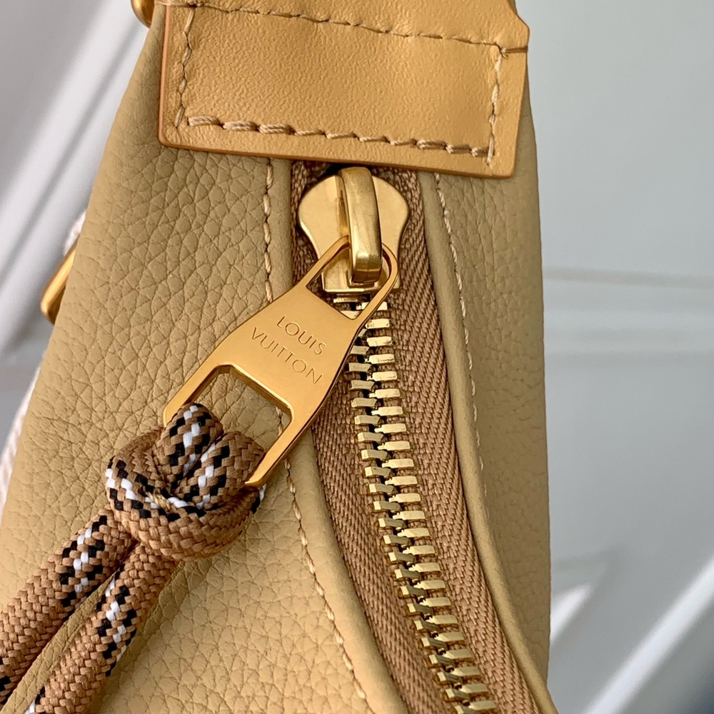 Louis Vuitton Hobo Cargo Bag