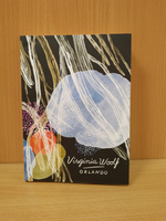 Orlando (Vintage Classics Woolf)