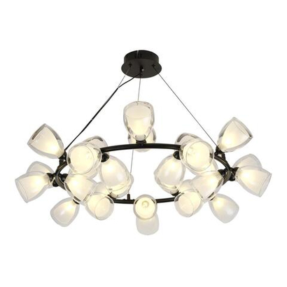 Подвесная люстра Lussole INGLEWOOD LSP-6065