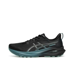 Мужские кроссовки ASICS GT-2000 13 Lite-show CN 'Black Teal' 1011C101-001