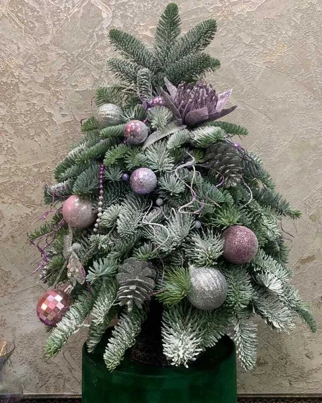 Ёлочка (НГ-22)