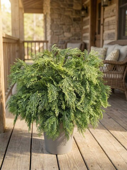 Искусственная Туя уличная в кашпо