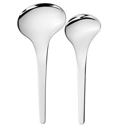 Набор сервировочных ложек Georg Jensen Bloom, 2 шт.