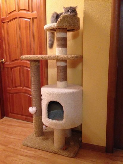 Дом для кота Д-2