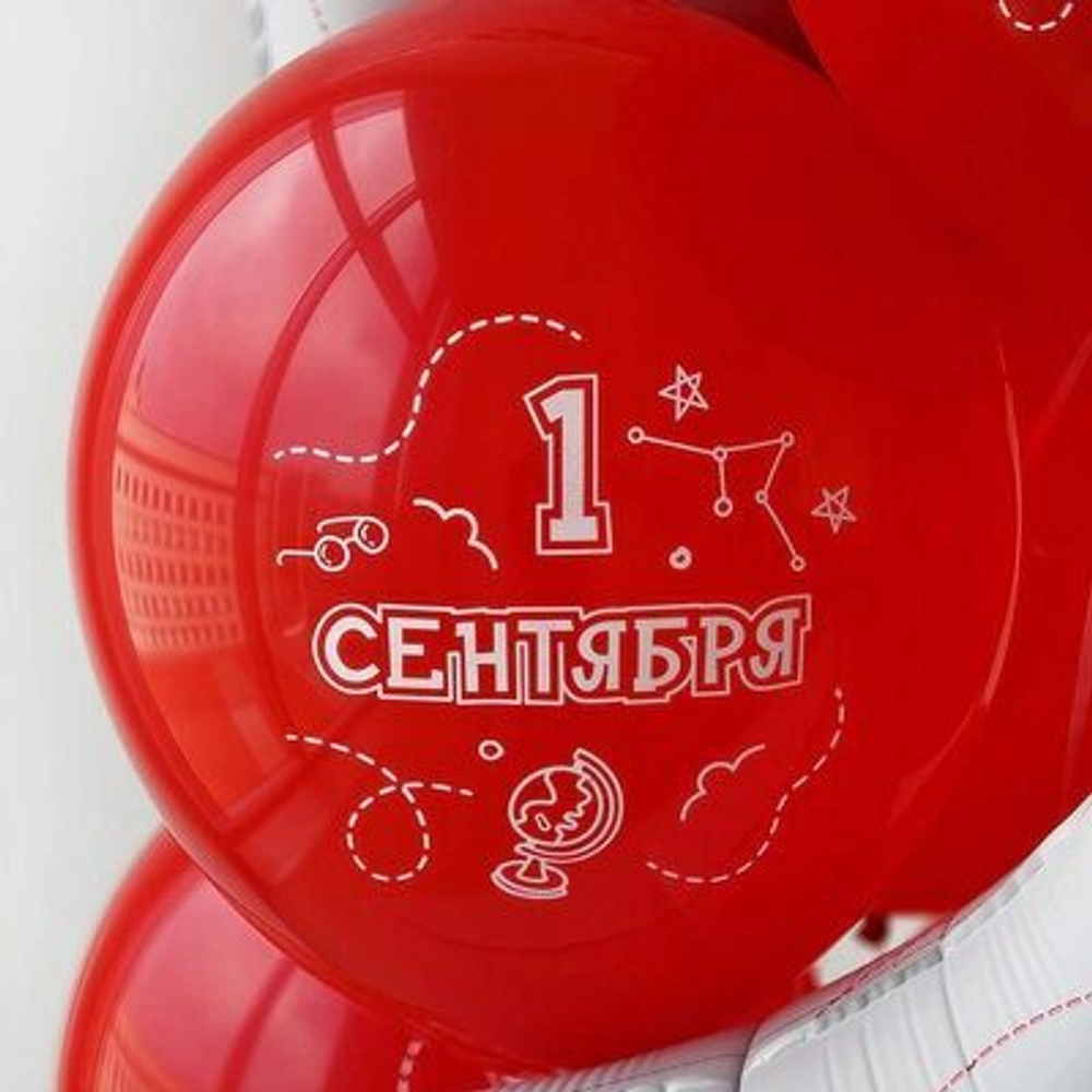 Шары День знаний