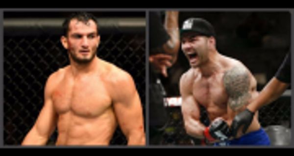 Биспинг на UFC 210: Вейдман манипулятор