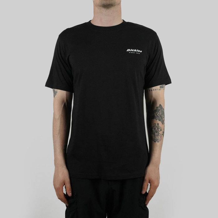 Футболка мужская Dickies Quamba артикул:DK0A4X9JBLK1 - купить в магазине Дайс