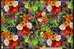 Цветы яркие 01