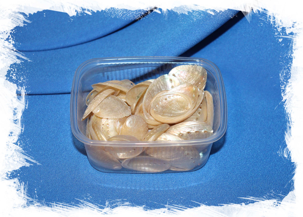 Жемчужные ракушки перламутровые Купить