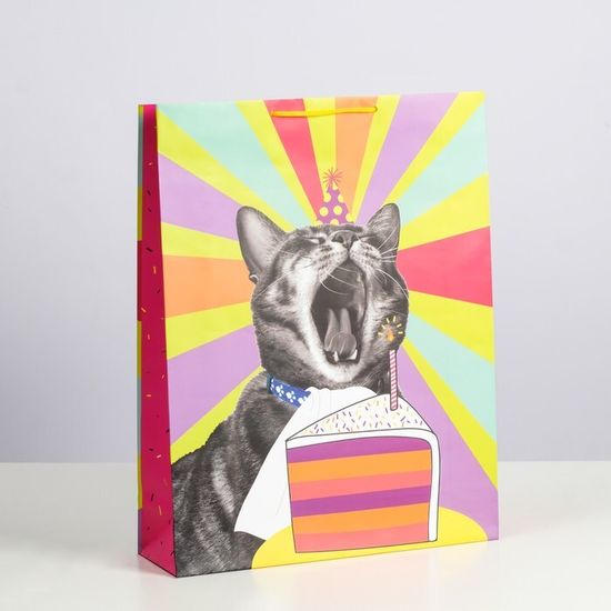 Пакет подарочный "Незабываемого дня рождения", 33 х 42,5 х 10 7909668