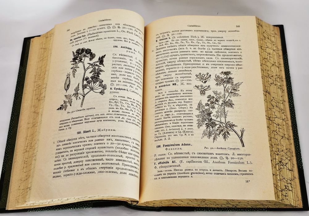 "Флора Средней России. Иллюстрированное руководство к определению среднерусских семенных и сосудистых споровых растений". П.Ф. Маевский, доп. Д.И. Литвиновым. 1917 г.