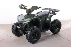 Электроквадроцикл Green Camel Гоби K90 (48V 750W R7 Дифференциал) Tao LUX