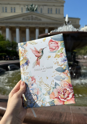 ЕЖЕДНЕВНИКИ