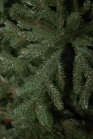 Искусственная елка Царевна леса 270 см., 100% литая хвоя, ЕлкиТорг (11270)