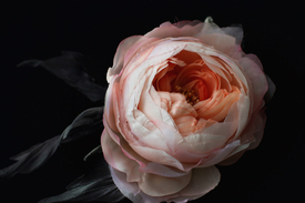 Сколько на самом деле ручной работы в одном цветке