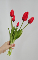 Тюльпаны закрытые / Арт 2453