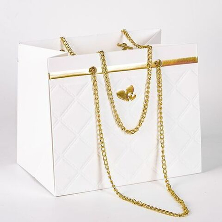 Пакет-сумка с цепочкой 18*12*15 БЕЛЫЙ