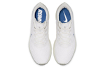 Кроссовки Nike Pegasus 36