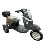 Электротрицикл GT-EV5 (Черный)