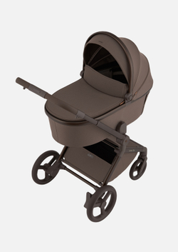 Anex Детская коляска Flo 2 в 1 Browny