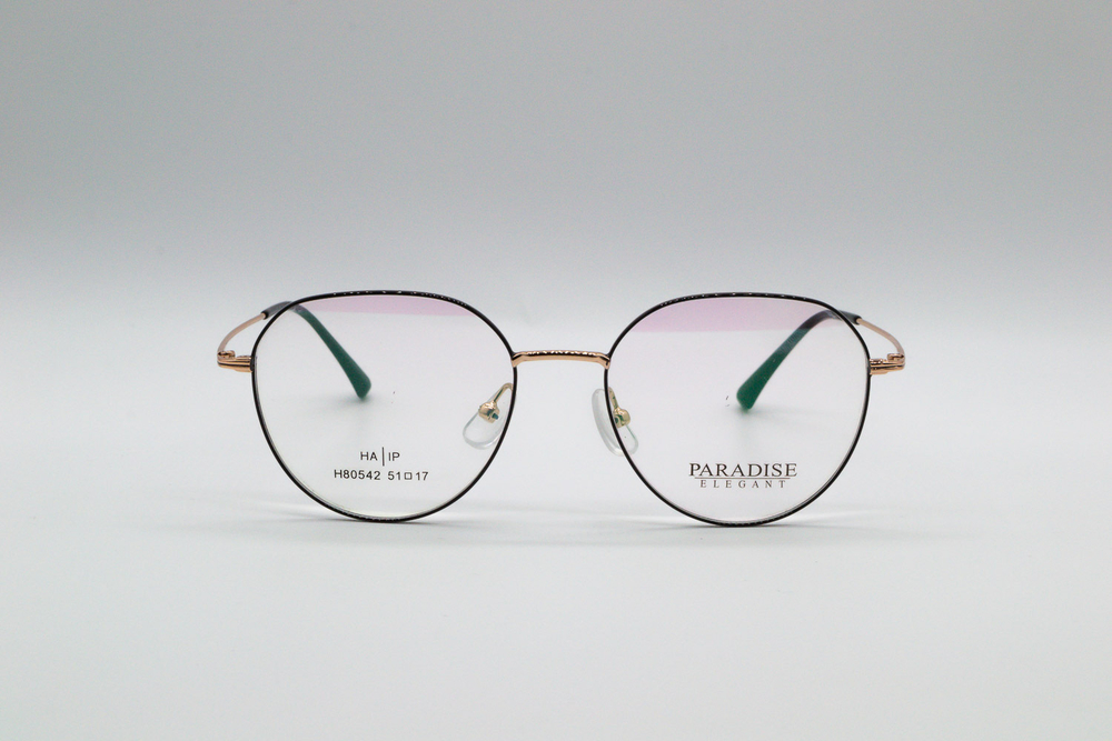 Изг. оправы PARADISE H80542 C6
