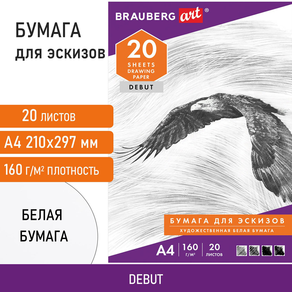 Папка для рисования А4 20 л. 160 г/м2 BRAUBERG 210х297 мм "Орел" (10 штук в упаковке)